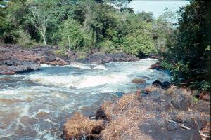 Suriname-’64-’65-051